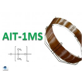 Colonne GC AIT-1 MS en 10m x 0,1mm x 0,4µm