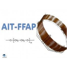 Colonne GC AIT-FFAP en 15m x 0,53mm x 0,5µm