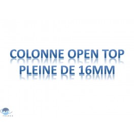 Colonnes OPEN TOP C18 / Phase inverse de 16mm de diamètre / Volume : 3g (90Å)(8 par boîte)