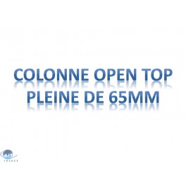 Colonnes OPEN TOP SAX de 65mm de diamètre en 40-63µm / Volume : 250g (60Å)(4 par boîte)