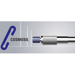Pré-colonne pour colonne HPLC COSMOSIL PBB-R de 5µm en 10 x 4,6mm (120Å)