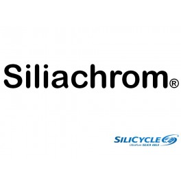 Colonne analytique HPLC SiliaChrom® XDB1 AMINO de 5µm en 30 x 2,1mm (100Å) Colonne analytique HPLC SiliaChrom® XDB1 AMINO de 5µm en 30 x 2,1mm (100Å)