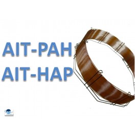 Colonne GC AIT-PAH en 30m x 0,25mm x 0,25µm Colonne GC AIT-PAH en 30m x 0,25mm x 0,25µm