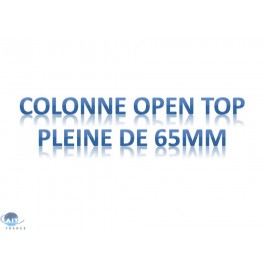 Colonnes OPEN TOP C18 / Phase inverse de 65mm de diam&egrave;tre / Volume : 250g (90&Aring;)(4 par bo&icirc;te)
