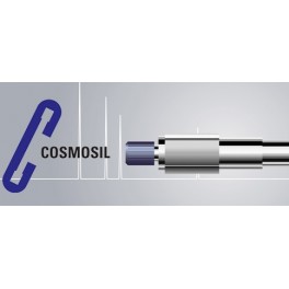 Pr&eacute;-colonne pour colonne HPLC COSMOSIL C4-AR-300 de 5&micro;m en 10 x 4,6mm (300&Aring;)