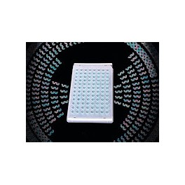 Film d'étanchéité ThermalSeal (lot de 100) Film d'étanchéité ThermalSeal (lot de 100)
