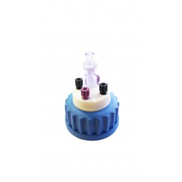 Bouchon de sécurité GL45 avec 4 sorties (1/8" ou 1/16") + 1 soupape (Validité : 1 an) Bouchon de sécurité GL45 avec 4 sorties (1/8" ou 1/16") + 1 soupape (Validité : 1 an)