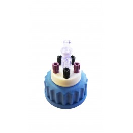 Bouchon de sécurité GL45 avec 5 sorties (1/8" ou 1/16") + 1 soupape (Validité : 1 an) Bouchon de sécurité GL45 avec 5 sorties (1/8" ou 1/16") + 1 soupape (Validité : 1 an)